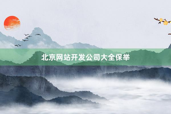 北京网站开发公司大全保举