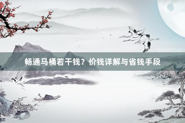 畅通马桶若干钱？价钱详解与省钱手段