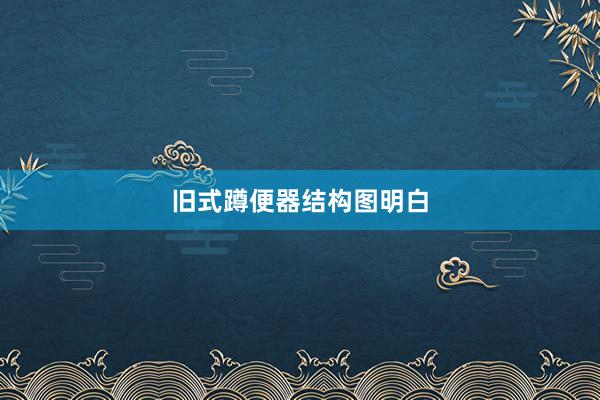 旧式蹲便器结构图明白