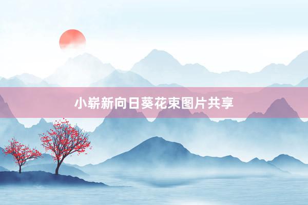 小崭新向日葵花束图片共享